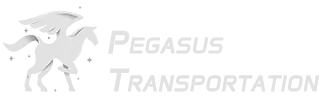 Pegasus Transportation - Special Needs Transportation Services